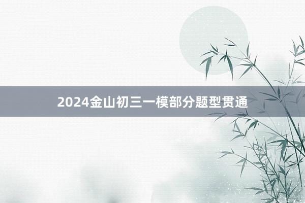 2024金山初三一模部分题型贯通